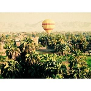 DO NOT BUY: Fantastic Rubber Mouse